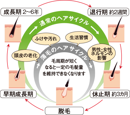 抜け毛 薄毛について 薬用育毛剤 柑気楼 公式サイト